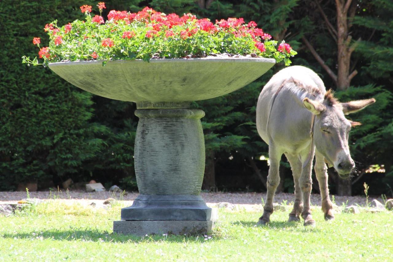 La Ferme De Capucine Bed & Breakfast Culhat ภายนอก รูปภาพ