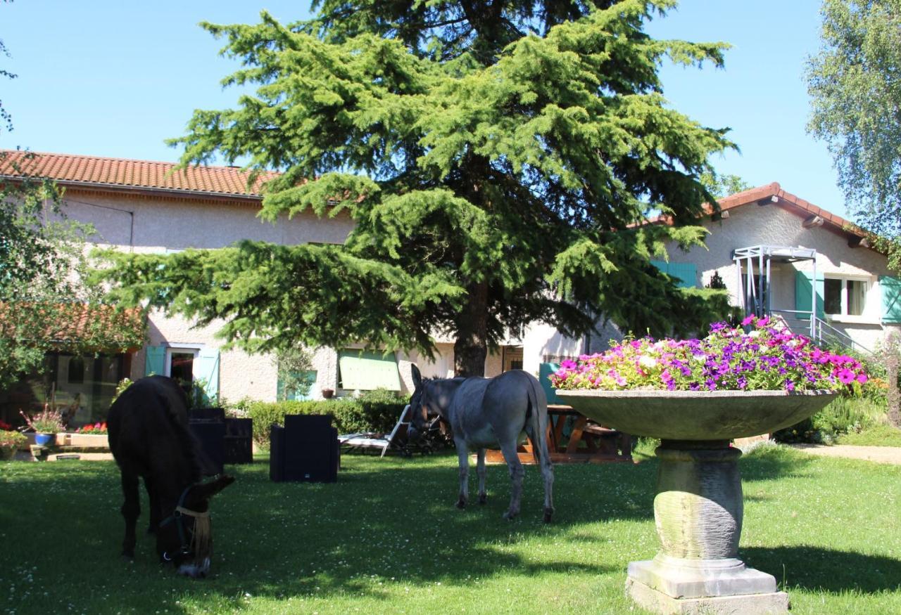 La Ferme De Capucine Bed & Breakfast Culhat ภายนอก รูปภาพ